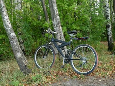 在森林树旁的山上骑自行车没有人胎旅行们背景图片