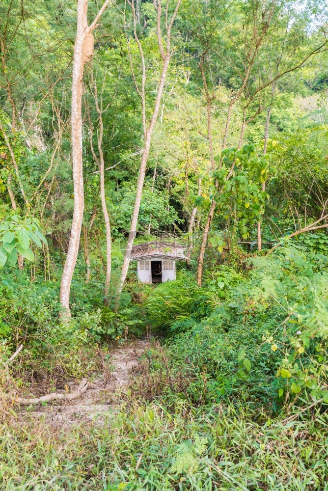上市背部在泰国森林中弃置小厕所屋图片