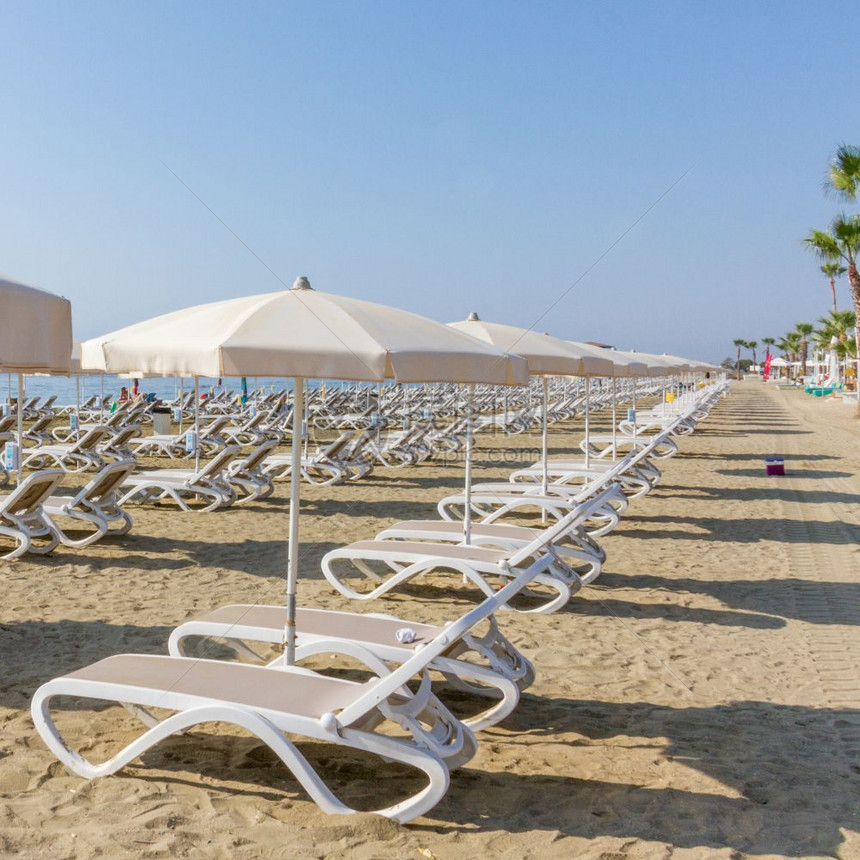 旅行树塞浦路斯拉纳卡海滩上的太阳床线和伞状板排图片
