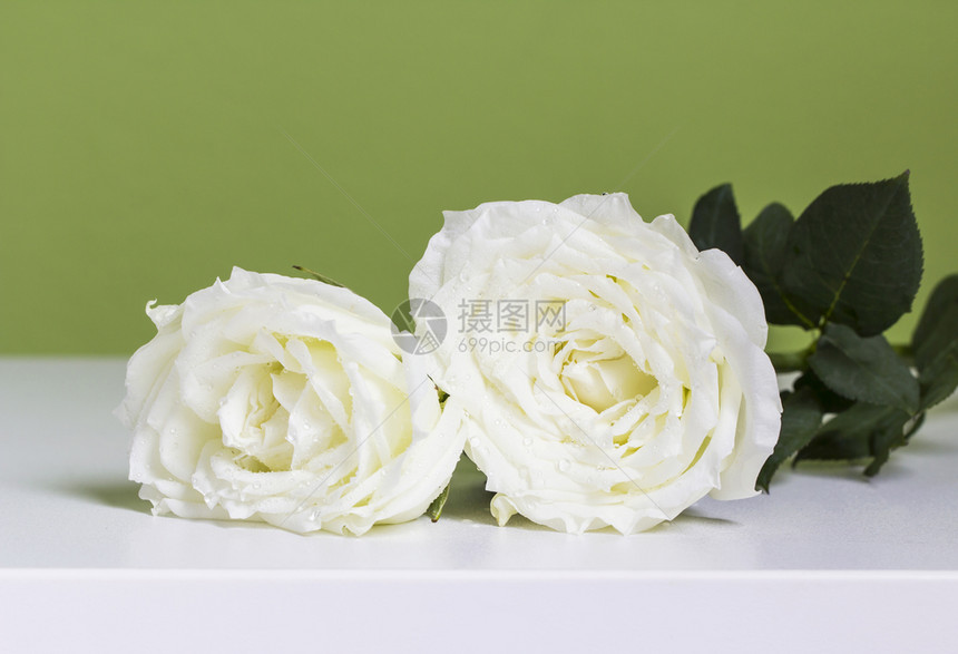 自然婚礼植物群在卧室的桌子上白玫瑰图片