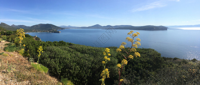 旅游意大利撒丁岛东北海岸CapoCaccia酋长地意大利全景远图片