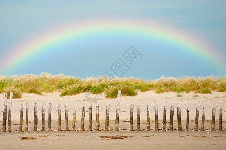 木制的光环敬畏横贯沿海沙丘景观的全彩虹弧背景图片