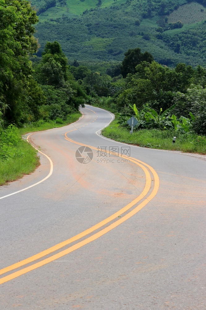 树具有热带绿林的农村道路曲线景观森林图片