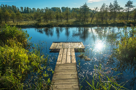 在小湖边的木环脚桥上水闪耀着明亮的太阳光芒空户外自然图片