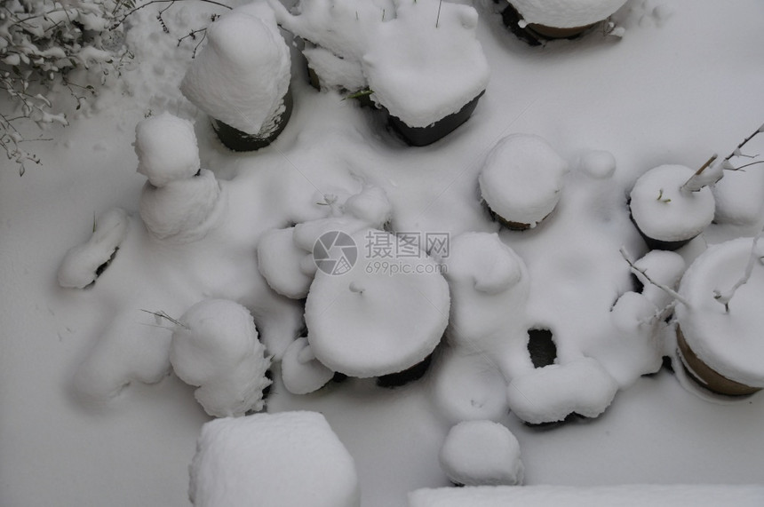 在布列塔尼的雪下冬天新鲜寒冷图片