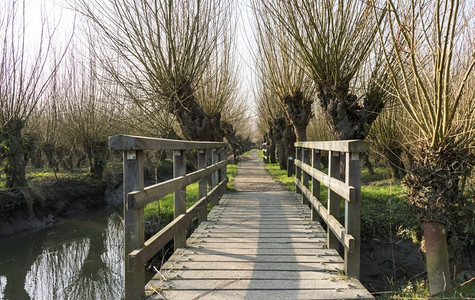 使用柳木桥和小河的霍林山自然地带分支机构荷兰小径图片
