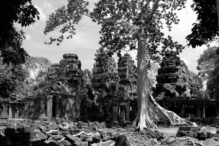 朝柬埔寨吴哥寺庙废墟的一栋开旅行收割一种图片