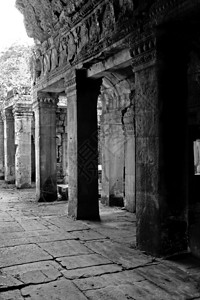 笏朝柬埔寨吴哥寺庙废墟的一栋开结石图片