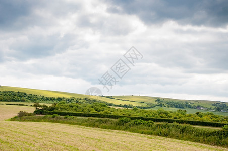 英格兰南部多塞特Purbeck岛的田地农作物自然房屋图片