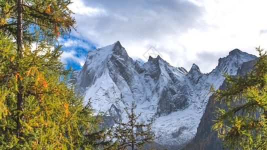 瑞士布雷加利亚山谷蒂安阿尔卑斯山上的比萨巴迪尔松福皮佐雷蒂切图片