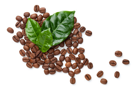 咖啡豆和绿叶图片
