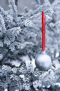 冬季冰冻圣诞树上的银球图片
