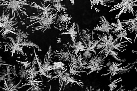 窗玻璃上的天然霜背景质地冷冻抽象的图片