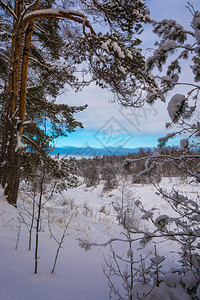 美丽的冬季风景在12月寒冷的一天有雪覆盖树木天空多云霜头户外图片