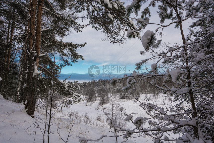 美丽的冬季风景在12月寒冷的一天有雪覆盖树木天空多云场景观季节图片