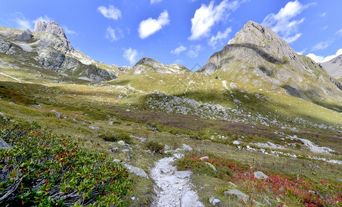 顶峰远足公园高山上美丽的风景草原上有一条小的攀爬道路图片