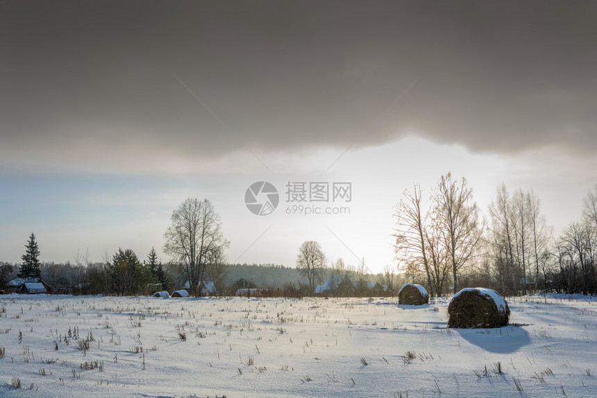 美丽的寒冬农村风景在日落的光线下天空阴暗树木晚上图片