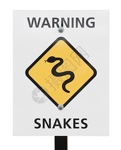 蛇夫座澳大利亚海滩上的黄色蛇警示信号告在澳洲沙滩上克罗波托夫户外内陆背景