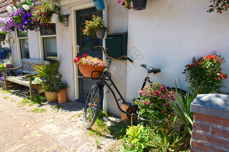荷兰自行车花朵带鲜和自行车的荷兰浪漫屋阳光长椅背景