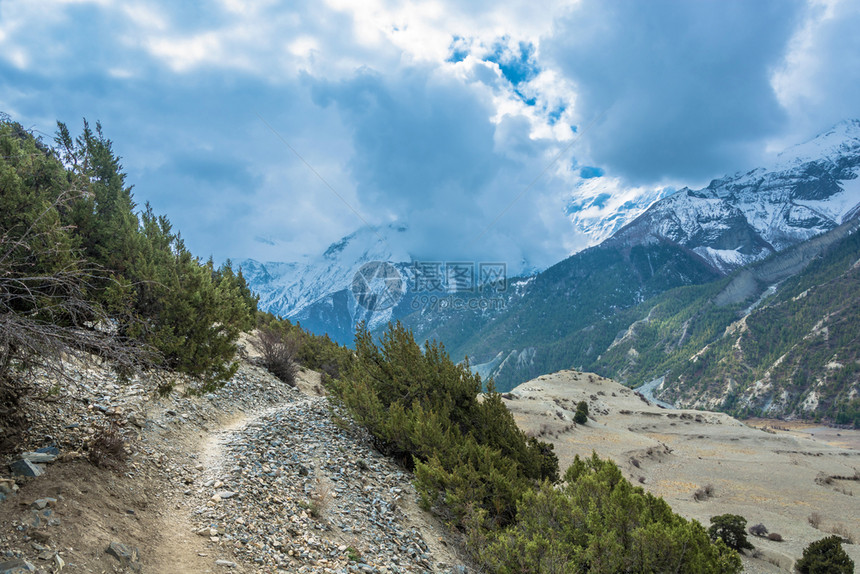 岩石尼泊尔春日喜马拉雅山的落基小径绿色徒步旅行图片