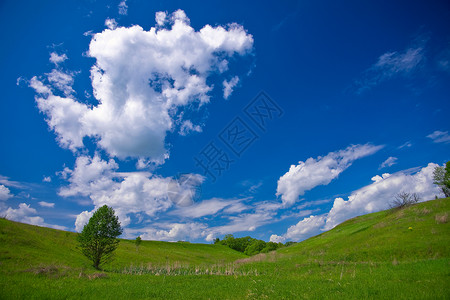 场景户外绿地和多云的蓝色天空夏季风景叶子图片