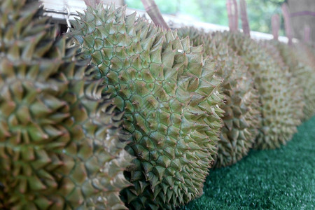 食物著名的泰国水果市场货架上的德兰果农场图片