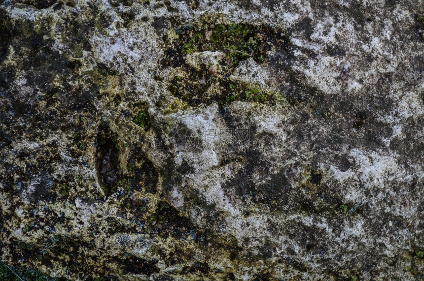 墙纸肮脏的灰山岩表面带苔的纹理老图片