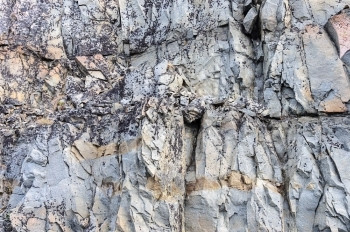 地衣化地质学结石坚硬的粗糙灰岩表面背景设计图片