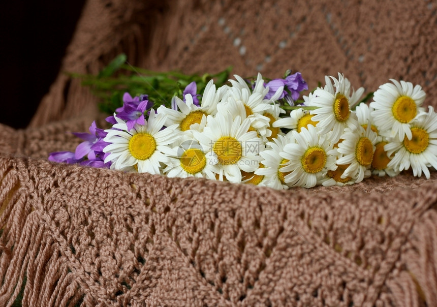 织物风铃草野花朵和蓝铃子的束都躺在棕色编织的围巾上收集图片