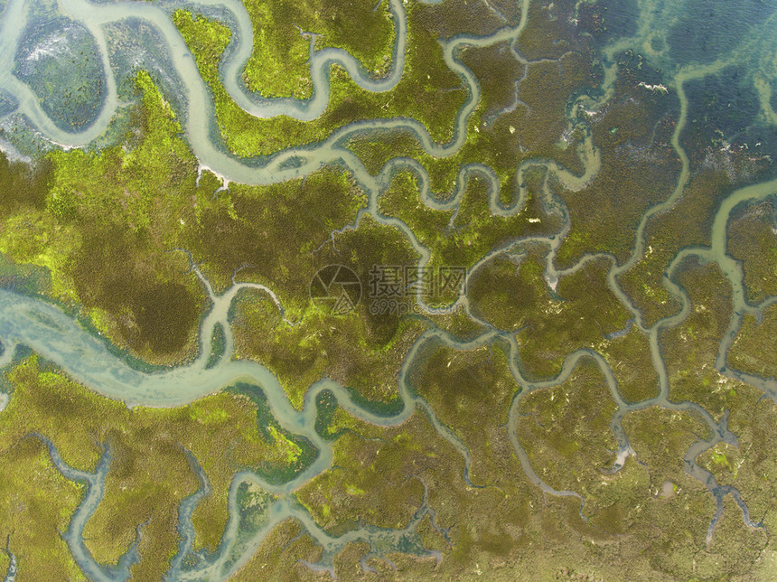 乔耶尔颜色水西班牙坎塔布里亚桑托纳维多利亚和约耶尔的沼泽自然公园图片