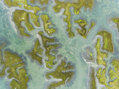 海岸水沿西班牙坎塔布里亚桑托纳维多利亚和约耶尔的沼泽自然公园图片