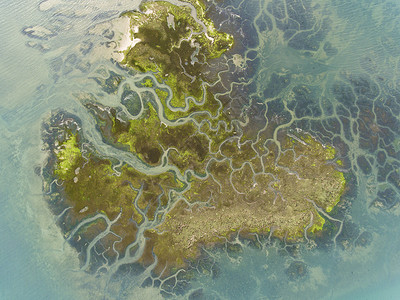 西班牙坎塔布里亚桑托纳维多利亚和约耶尔的沼泽自然公园海天线岸图片
