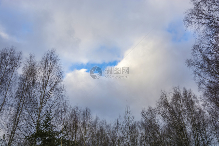 最佳一种树顶和美丽的阴云天空秋有蓝色的窗晴图片