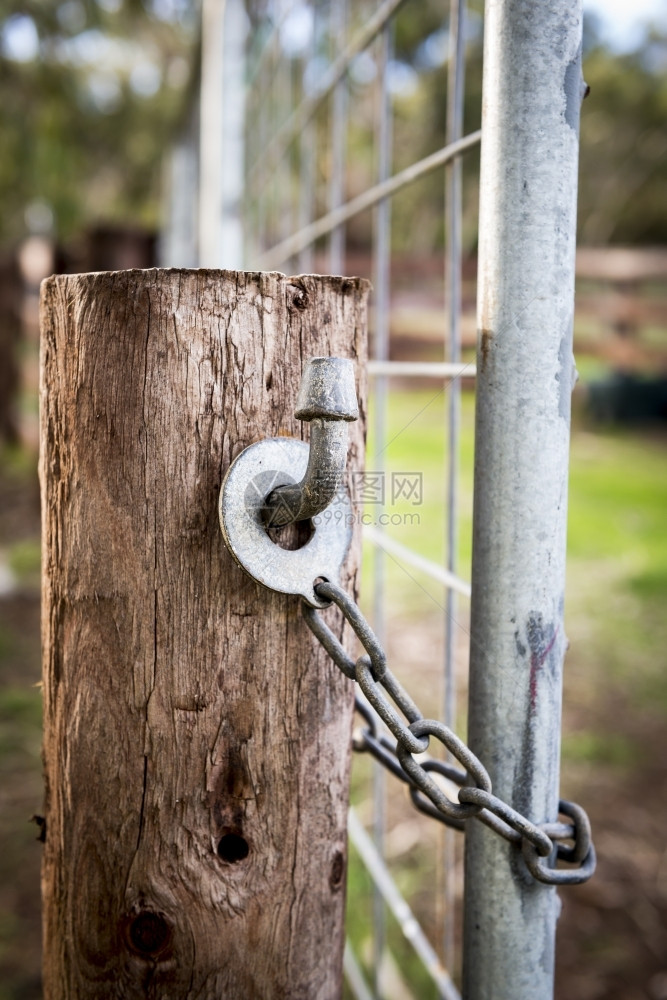 栅栏经典的澳大利亚农场门锁在木桩上一种场景图片