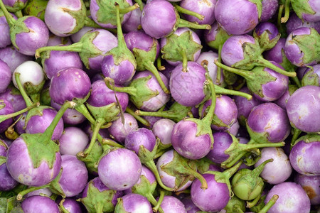 植物新鲜的有机紫色茄子蔬菜热带食物图片