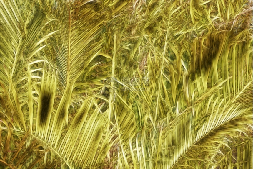 创造力艺术品黄树和绿棕榈叶背景摘要抽象的图片