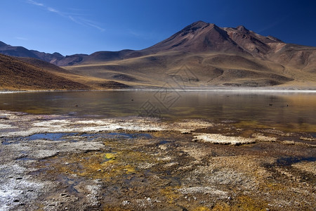 米斯坎蒂湖景观迷你车高清图片