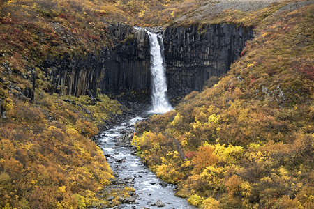 冰岛Skaftafell公园Svartifos瀑布的Basalt柱子上坠水史卡夫塔山栏目b崩溃背景图片
