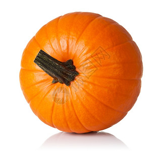 白色背景上孤立的新鲜橙色南瓜成熟健康感恩背景图片