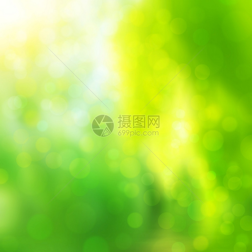 绿色春季背景有bokeh和阳光照耀强调太闪亮的图片