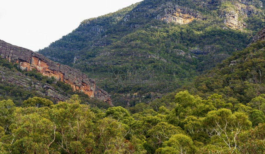 从澳大利亚维多州格兰屏的HallsGap眺望旅行美丽的荒野图片