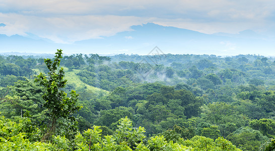 丛林墨西哥恰帕斯的森林风景与山岳交汇于墨西哥恰帕斯外部树图片