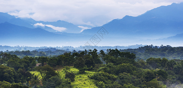 墨西哥恰帕斯的森林风景与山岳交汇于墨西哥恰帕斯公园自然树图片