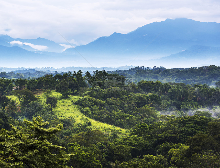 绿色墨西哥恰帕斯的森林风景与山岳交汇于墨西哥恰帕斯美丽的环境图片