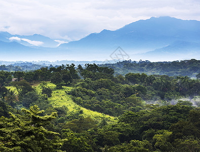 绿色墨西哥恰帕斯的森林风景与山岳交汇于墨西哥恰帕斯美丽的环境图片