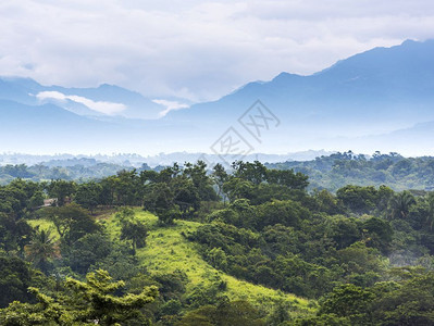 景观古老的生物圈墨西哥恰帕斯的森林风景与山岳交汇于墨西哥恰帕斯图片