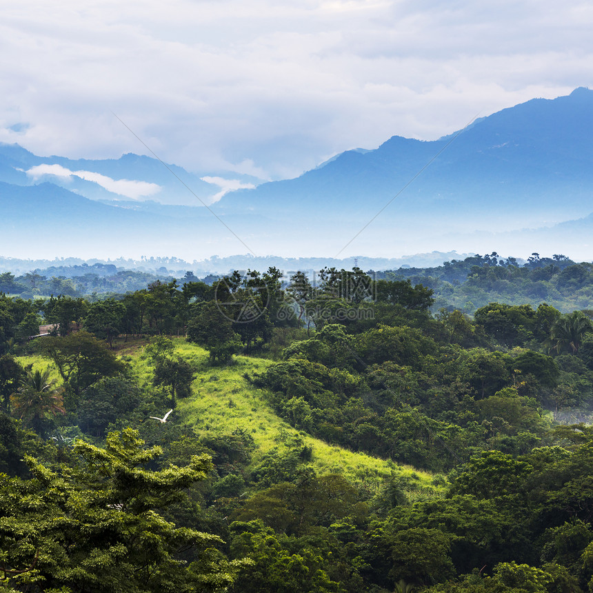 植被古老的外部墨西哥恰帕斯的森林风景与山岳交汇于墨西哥恰帕斯图片