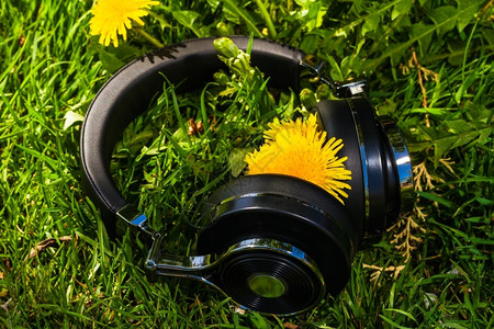 无线旅行用耳机在有花层的草坪上自在春天绿色图片