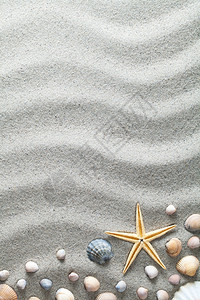 灰色贝壳沙子上的海星和小贝壳背景