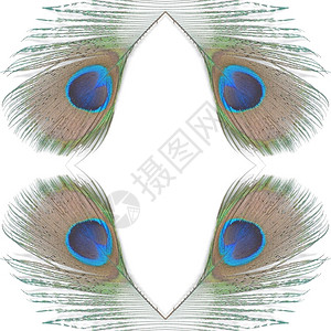 蓬松的绿孔雀羽毛背景产生的无缝结构图案阮詹无缝的图片